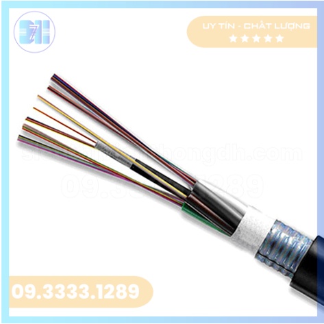 1654577722Cáp quang treo Singlemode 4FO