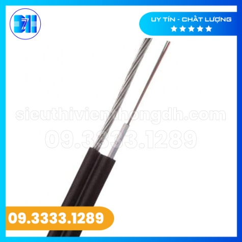 1654576970Cáp quang thuê bao 2FO